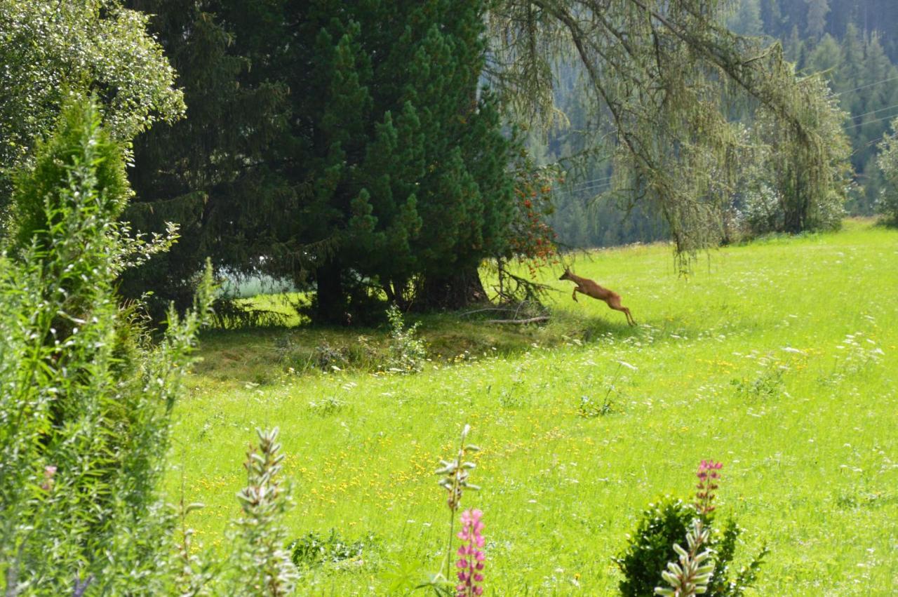 Landhaus Kaulfuss Sankt Jakob in Defereggen Luaran gambar